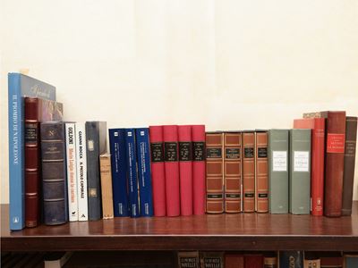 Miscellanea di Libri di Argomento Storico sulla Storia D'italia e Napoleone