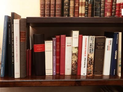 Grande Miscellanea di Libri di Argomento Storico: L'unità D'italia e Garibaldi