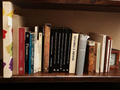 Grande Miscellanea di Libri Sull'arte Moderna