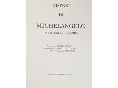 Disegni di Michelangelo 103 Disegni in Facsimile