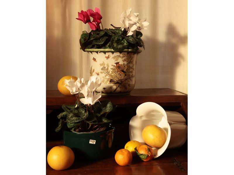 Vaso Mediceo in Cristallo
