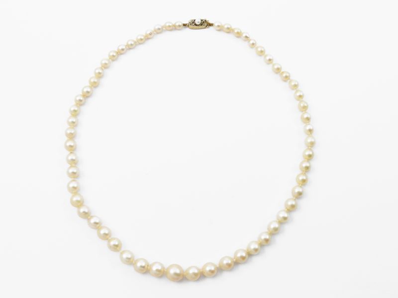 Collana Degradè di Perle Coltivate con Fermezza in Oro Giallo