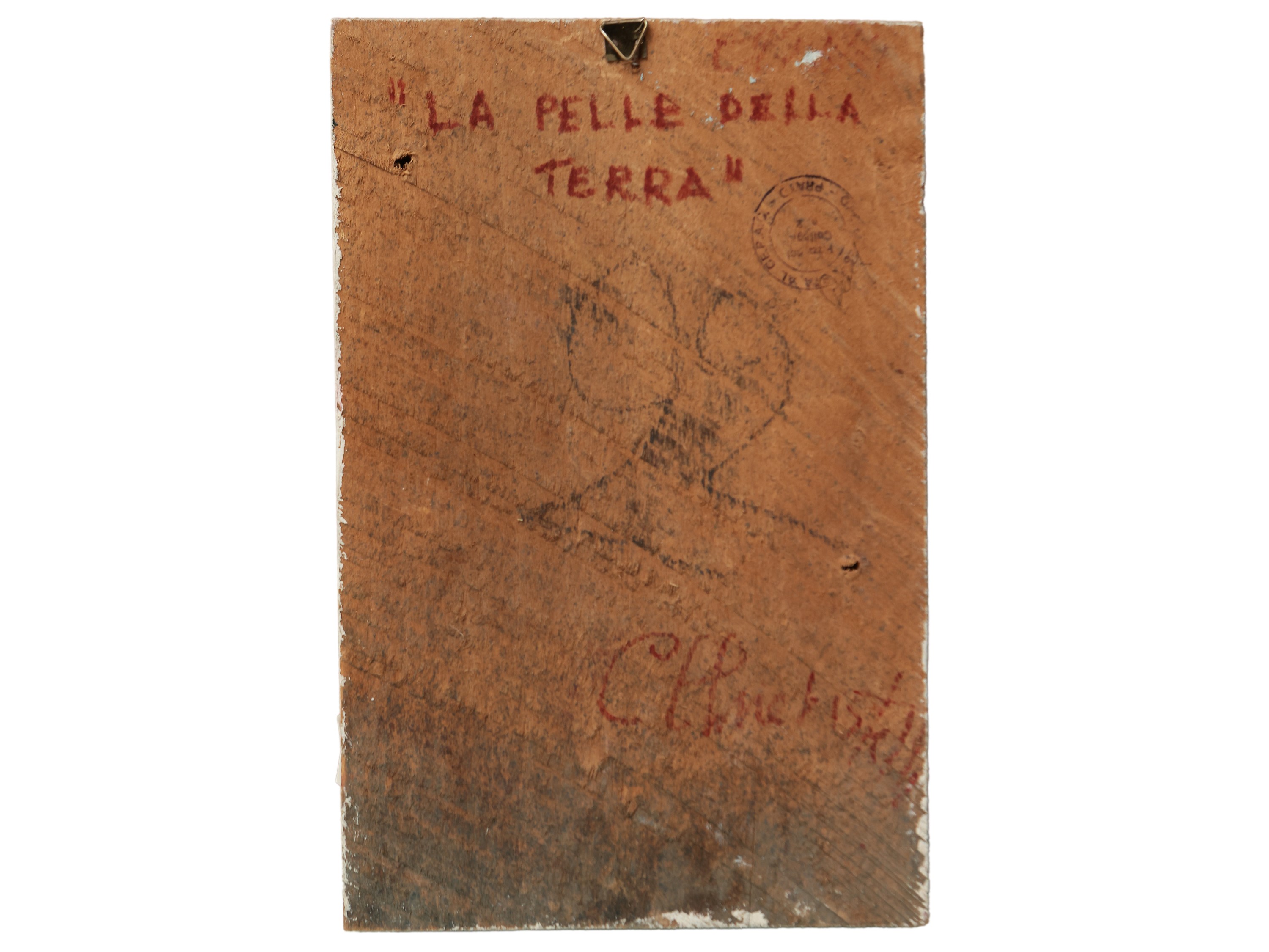 Cecilia Chiavistelli - La Pelle della Terra