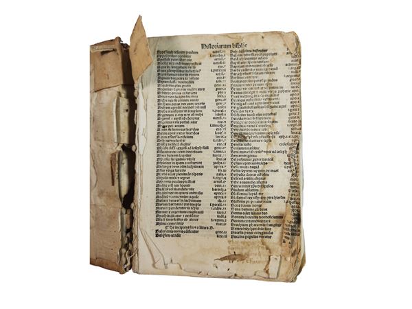 Biblia Sacra 1497