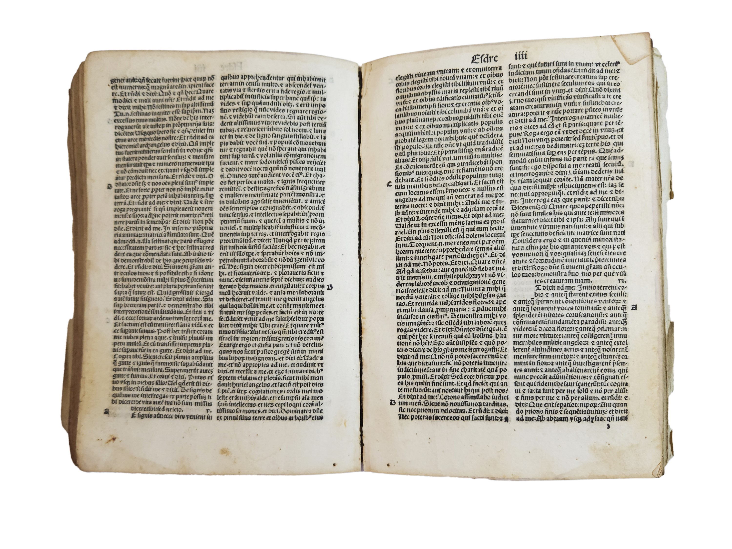 Biblia Sacra 1497