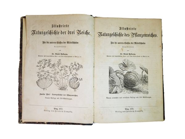 Aloisio Pokorny - Illustrierte Naturgeschichte des Pflanzenreiches