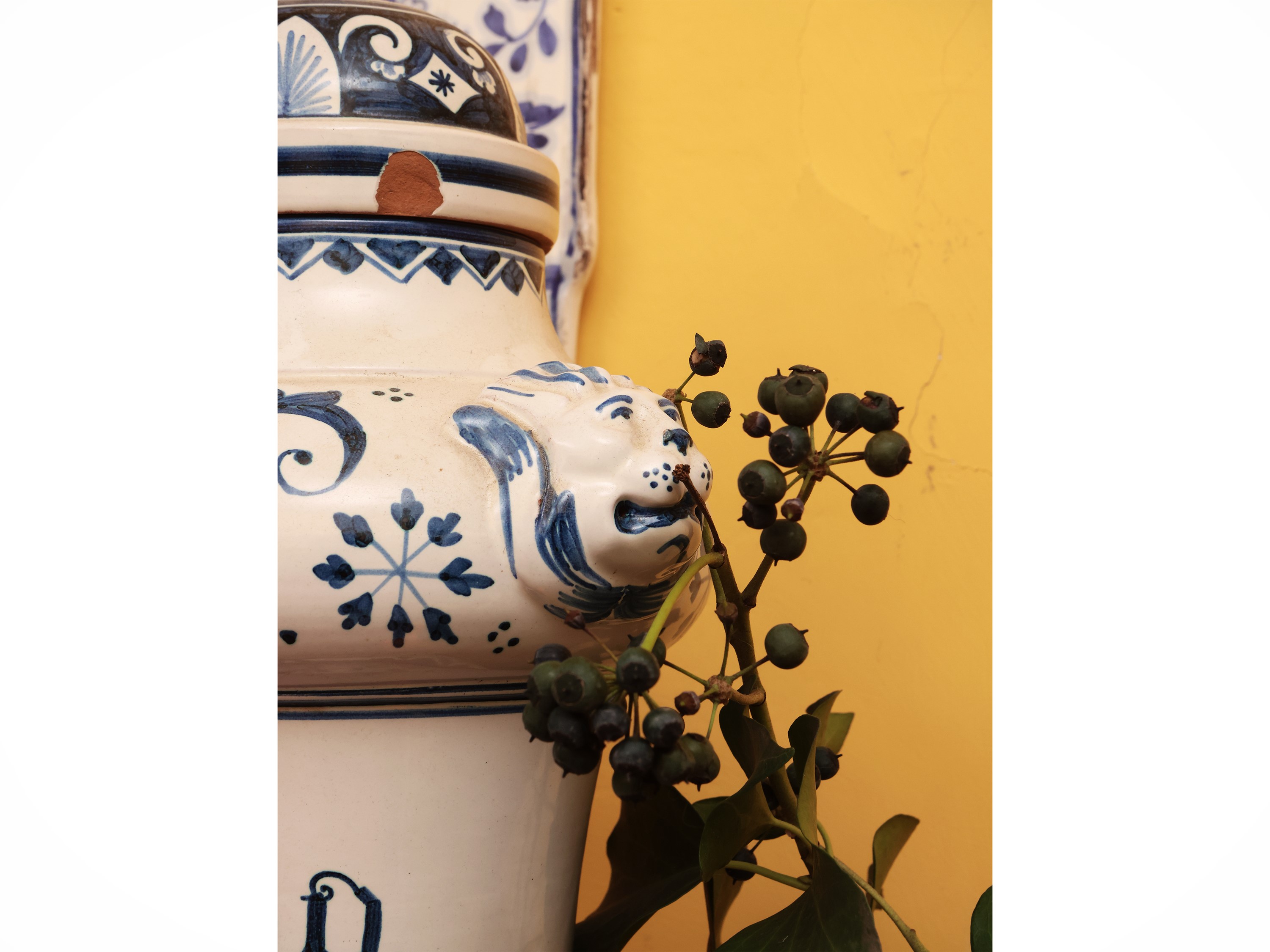 Vaso da Farmacia in Maiolica