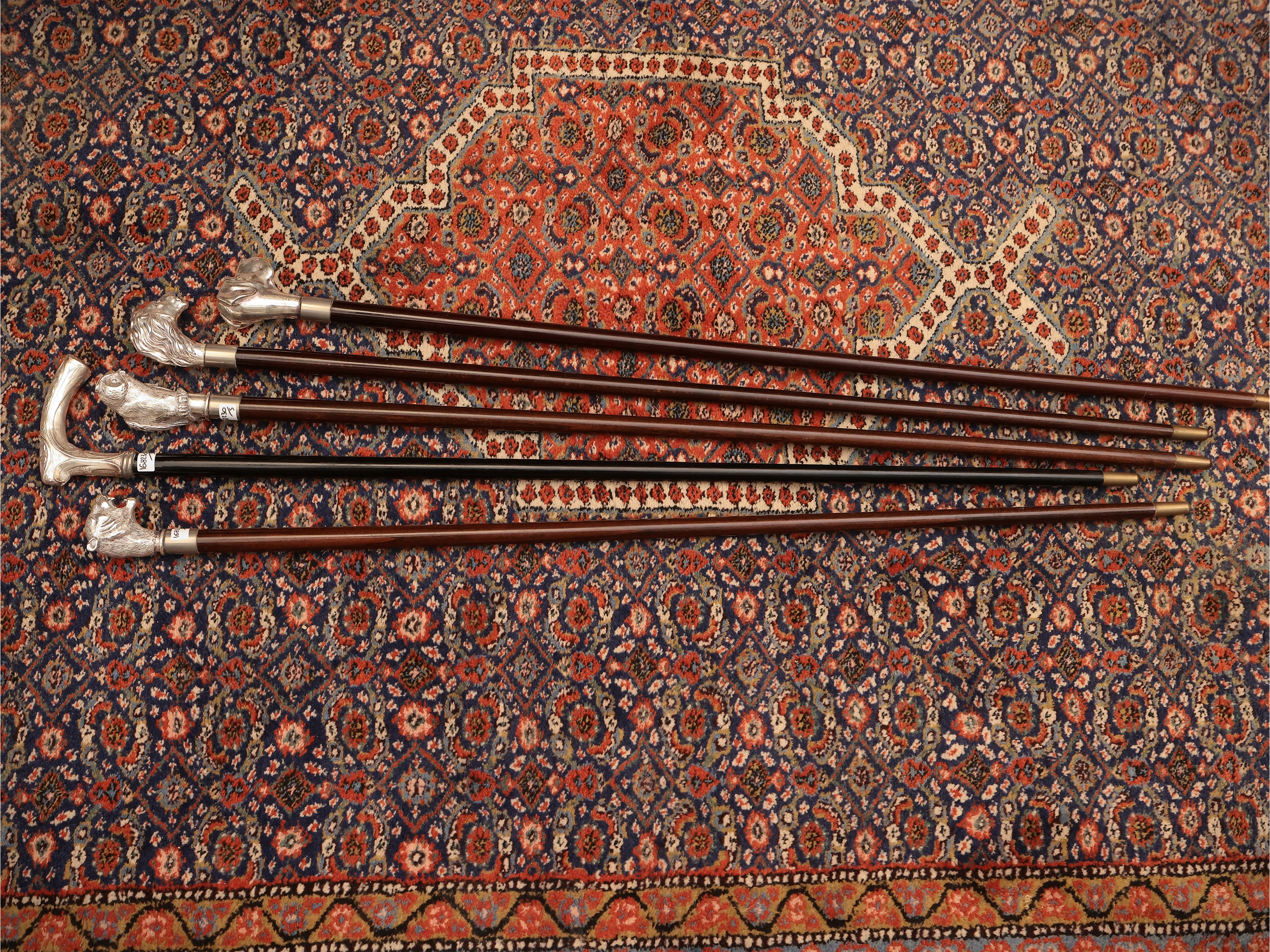 Cinque bastoni da passeggio con pomo rivestito in argento