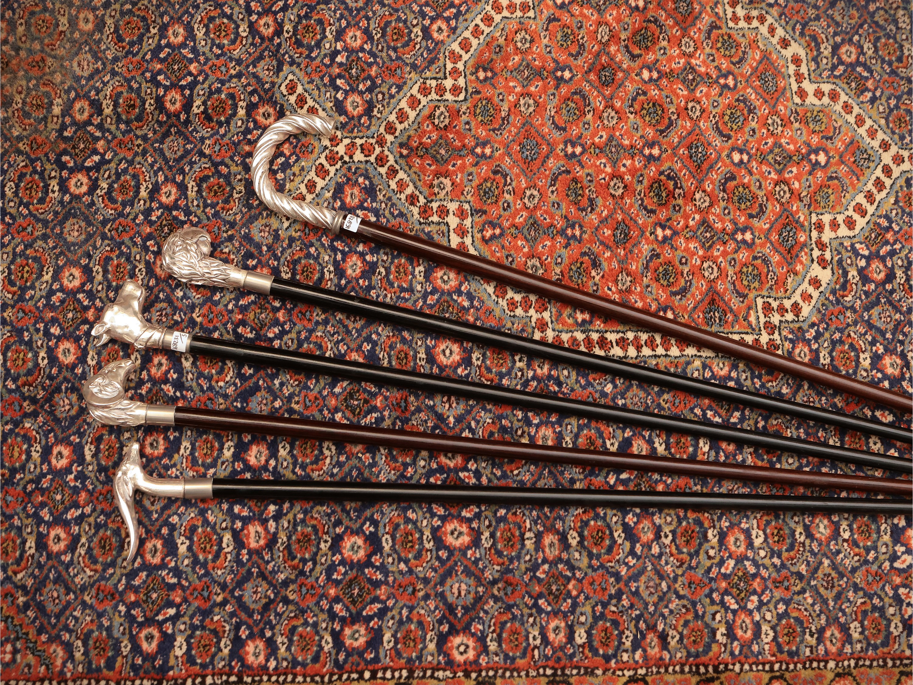 Cinque bastoni da passeggio con pomo rivestito in argento