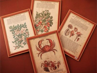 Serie di Quattro Tavole Calcografiche