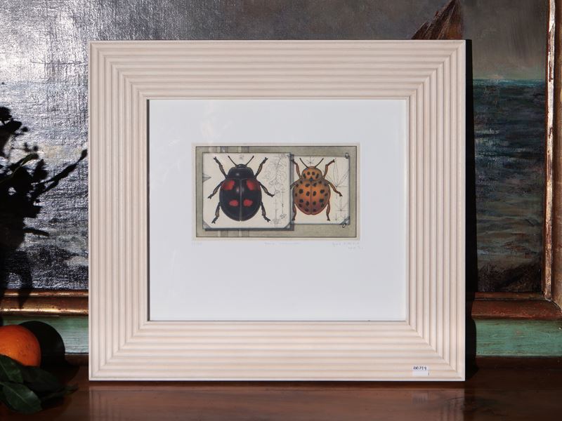 Miscellanea di Litografie Decorative