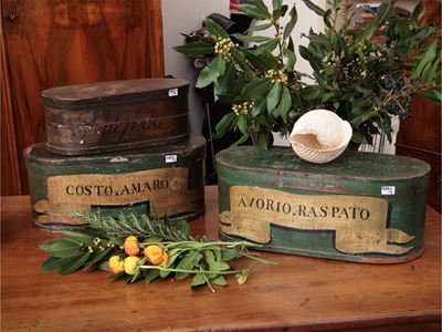 Tre Scatole da Farmacia in Legno Curvato