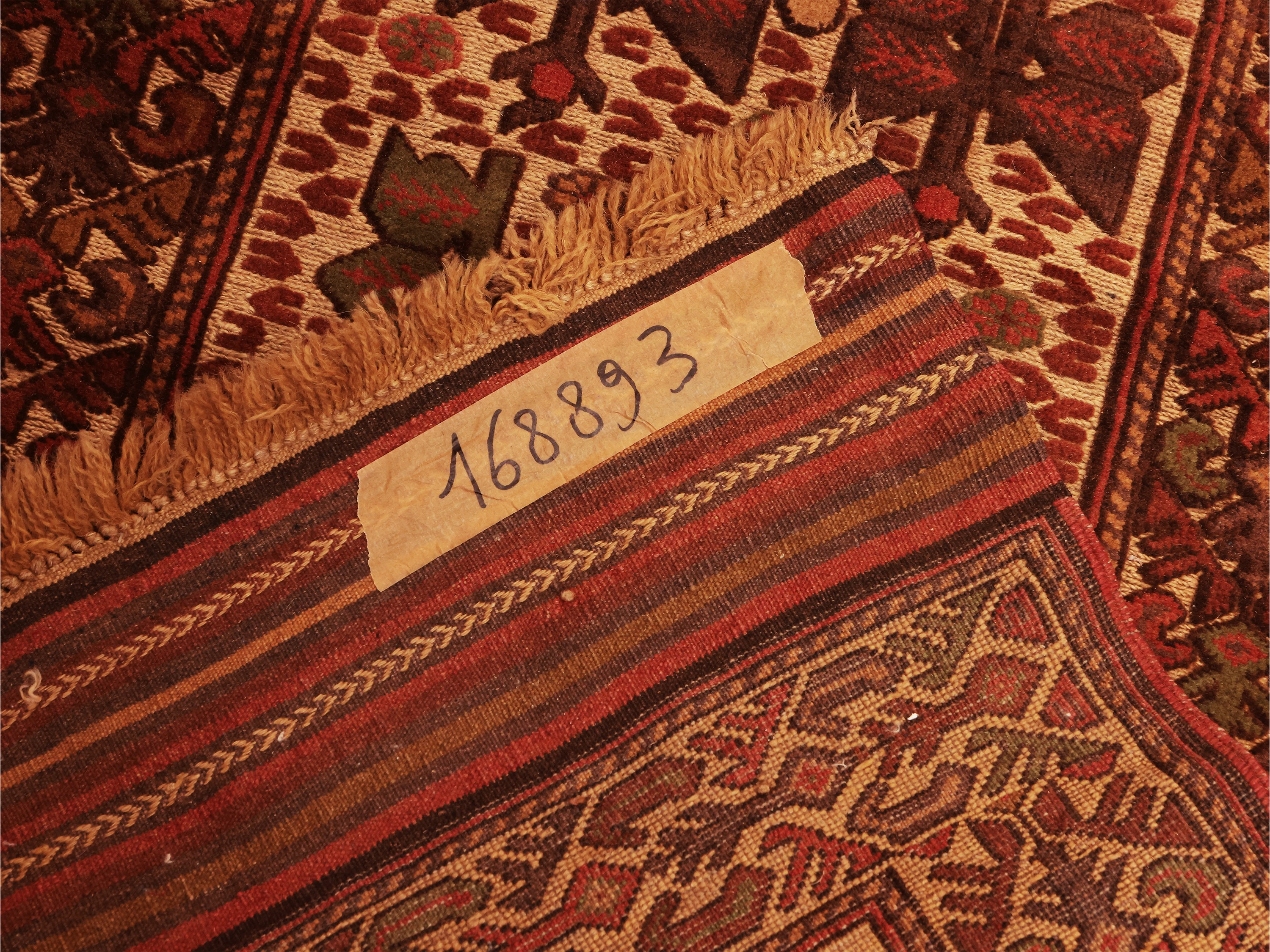 Galleria persiana Sumaikh