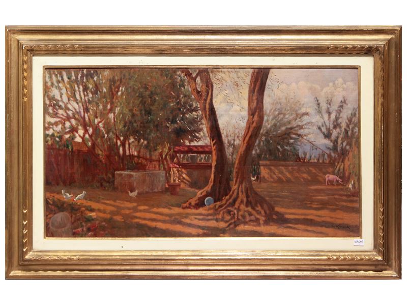 Vecchio ulivo (Fauglia)