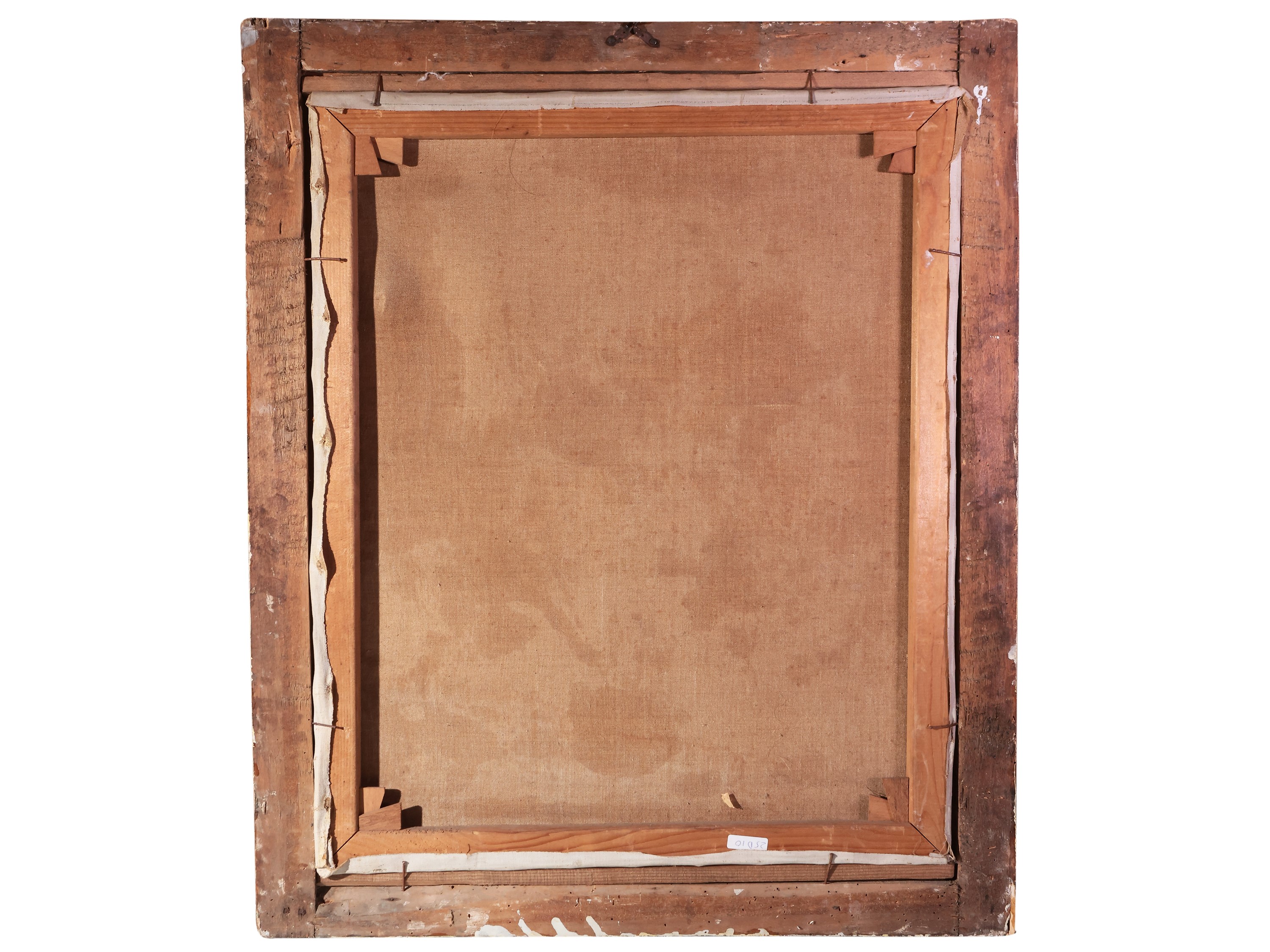 Ortensie nel vaso 1951