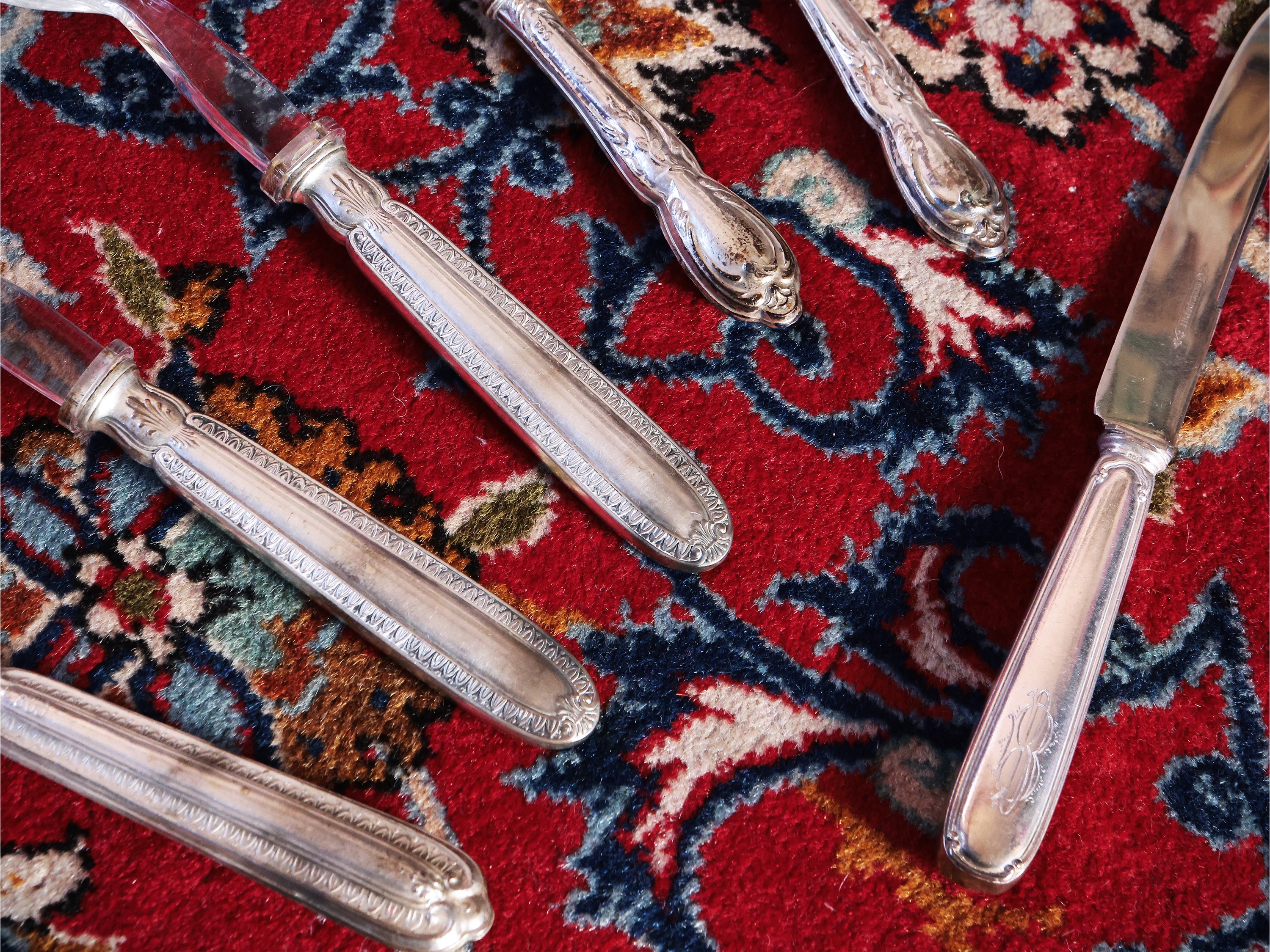 Assortimento di posate con manico rivestito in argento