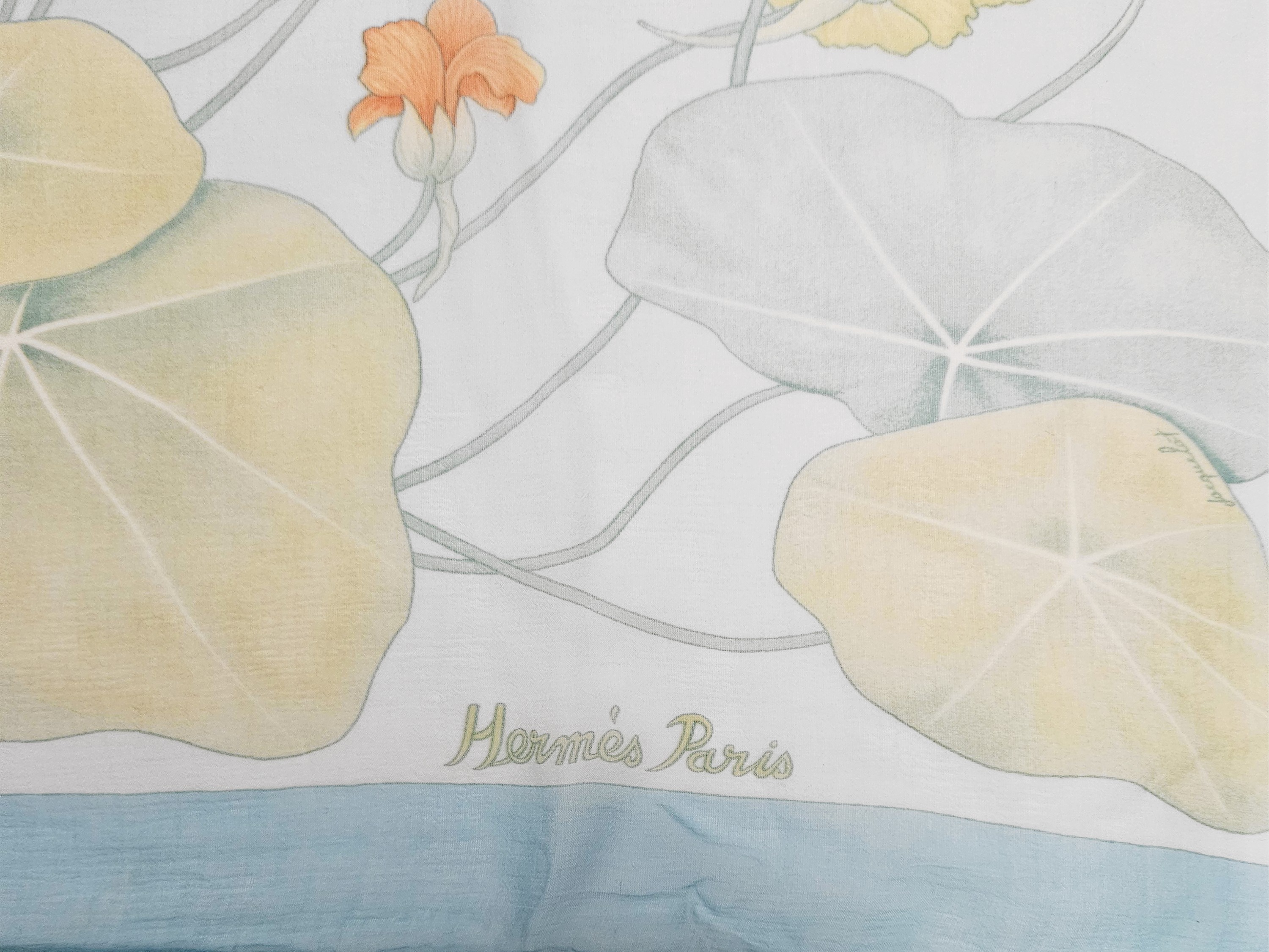 Hermès - Foulard "les Capucines" in Chiffon di Seta