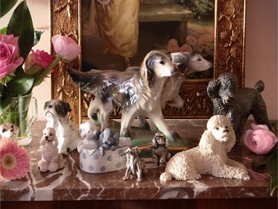 Collezione di Cani