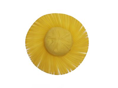 Cappello a Tesa Larga in Seta Gialla