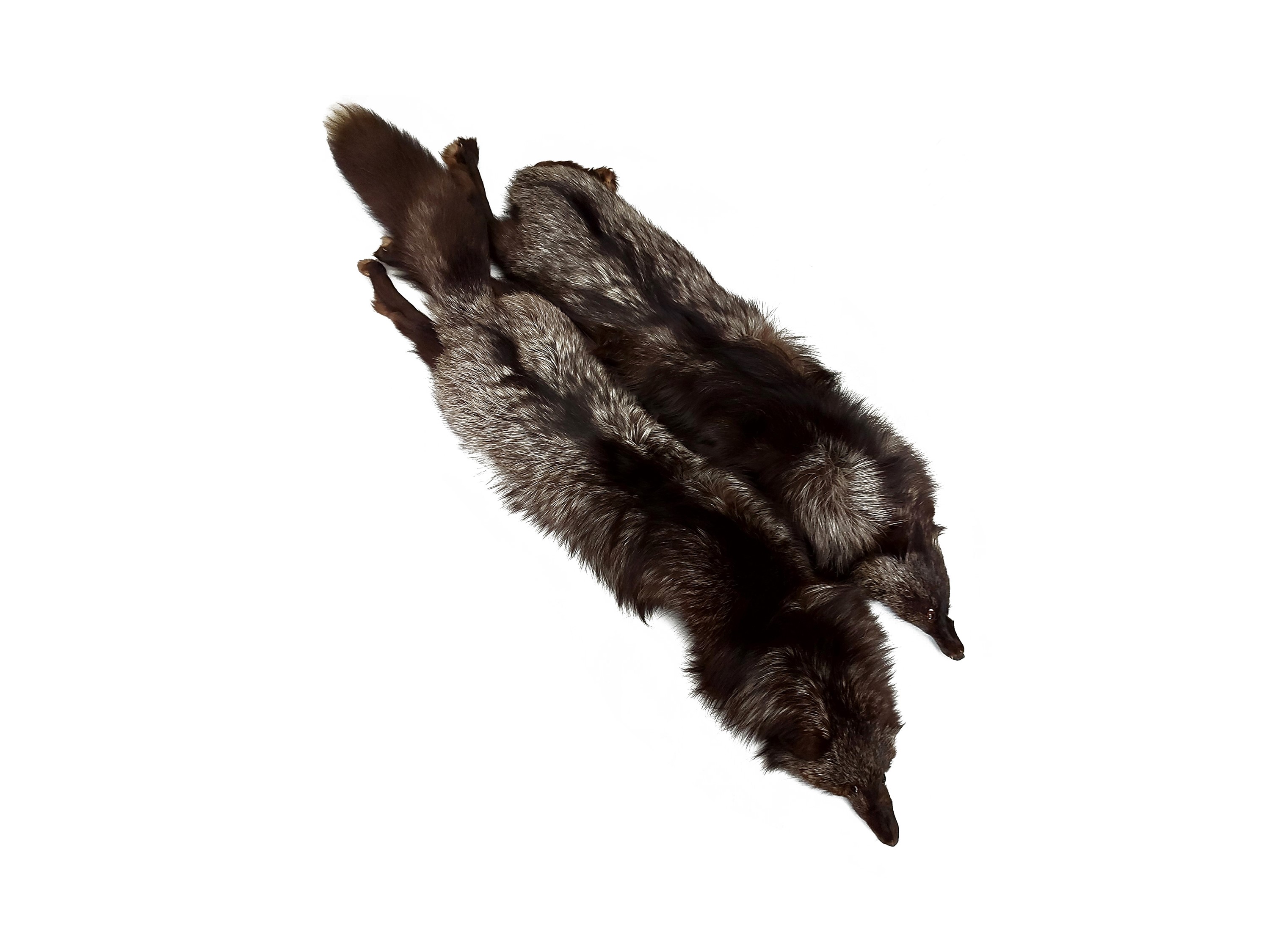 Due Stole in Pelliccia di Volpe Argentata