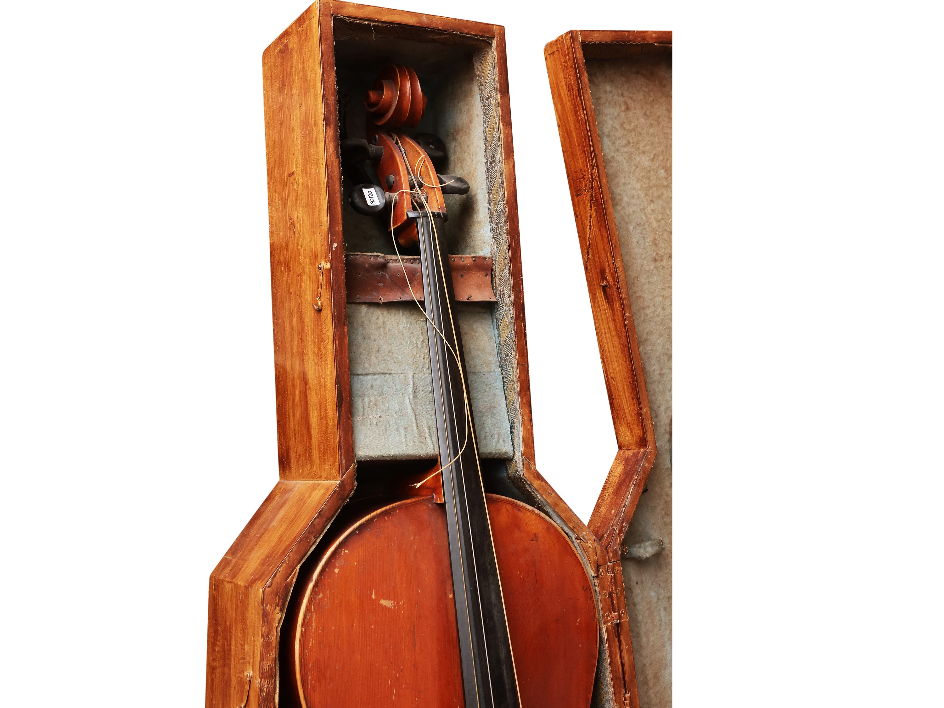 Violoncello