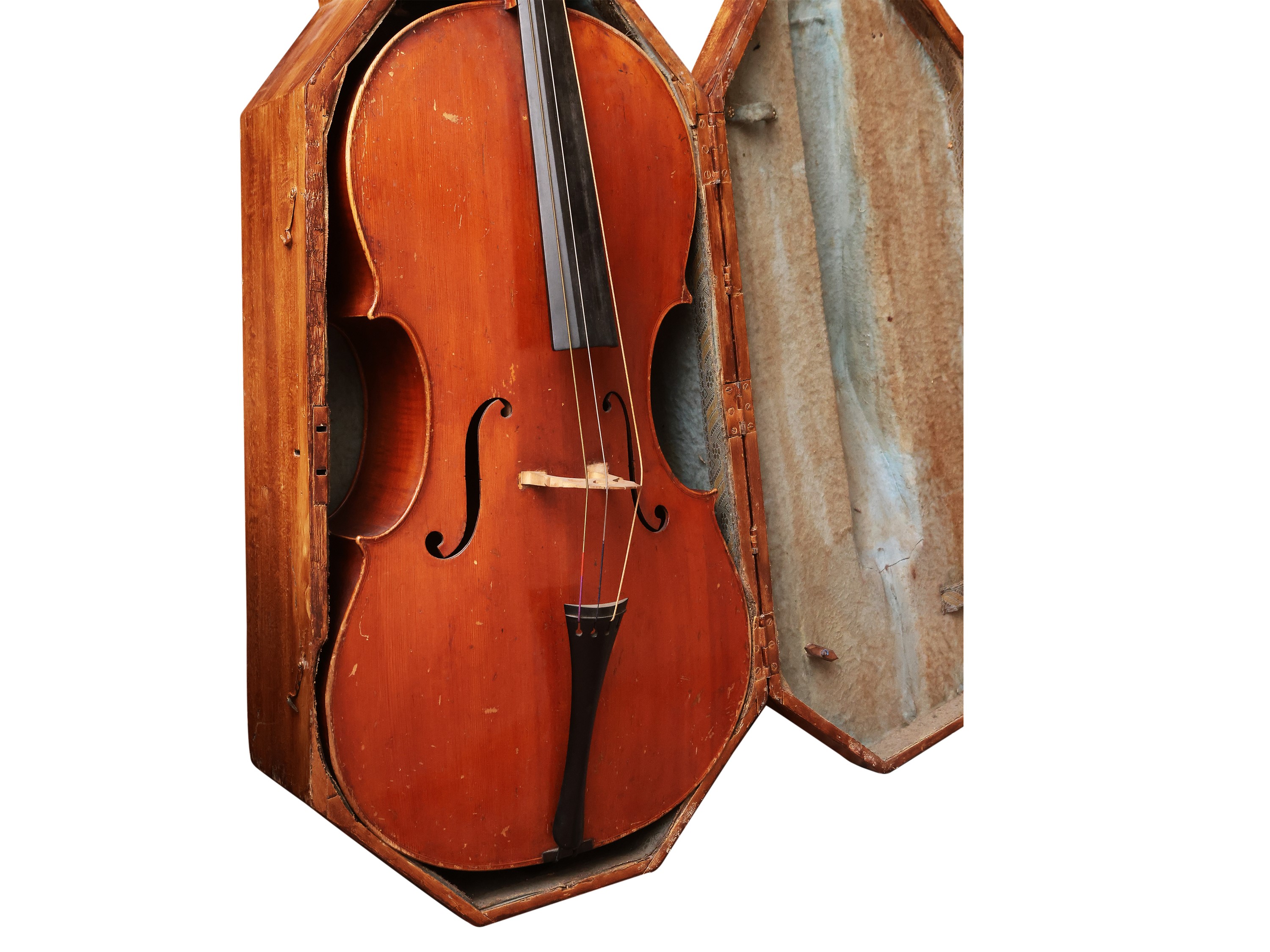 Violoncello