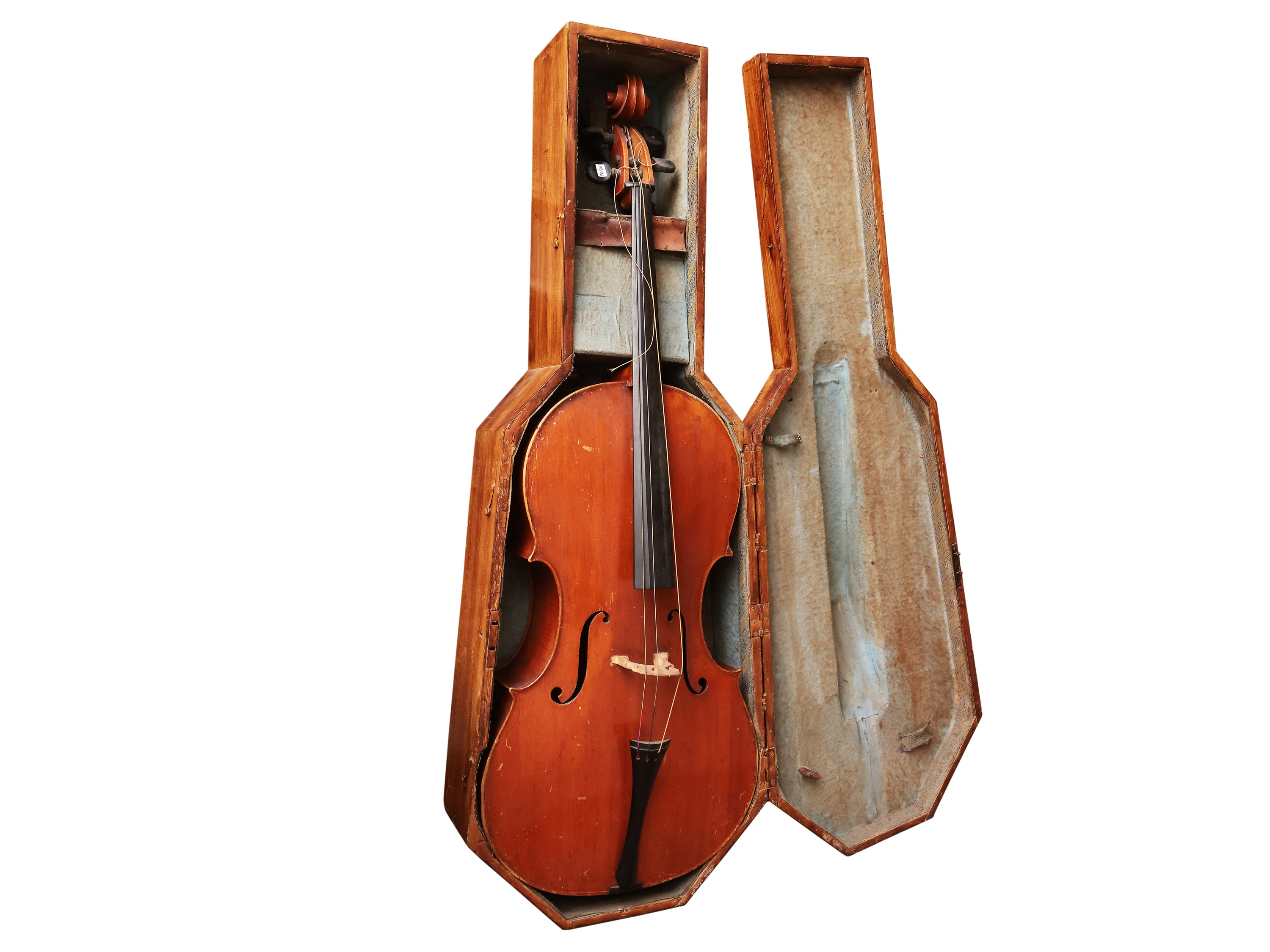 Violoncello