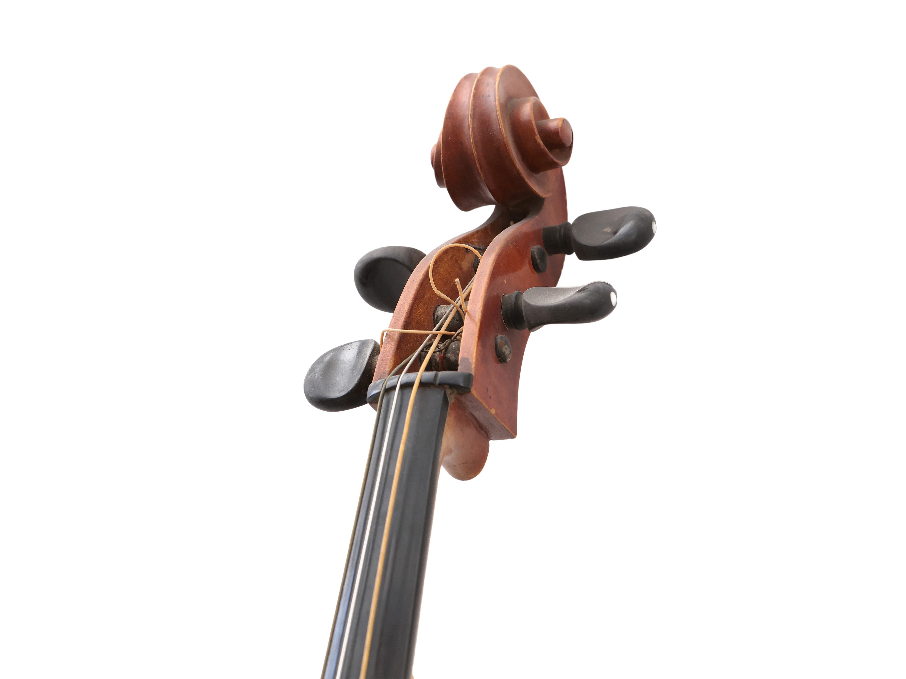 Violoncello