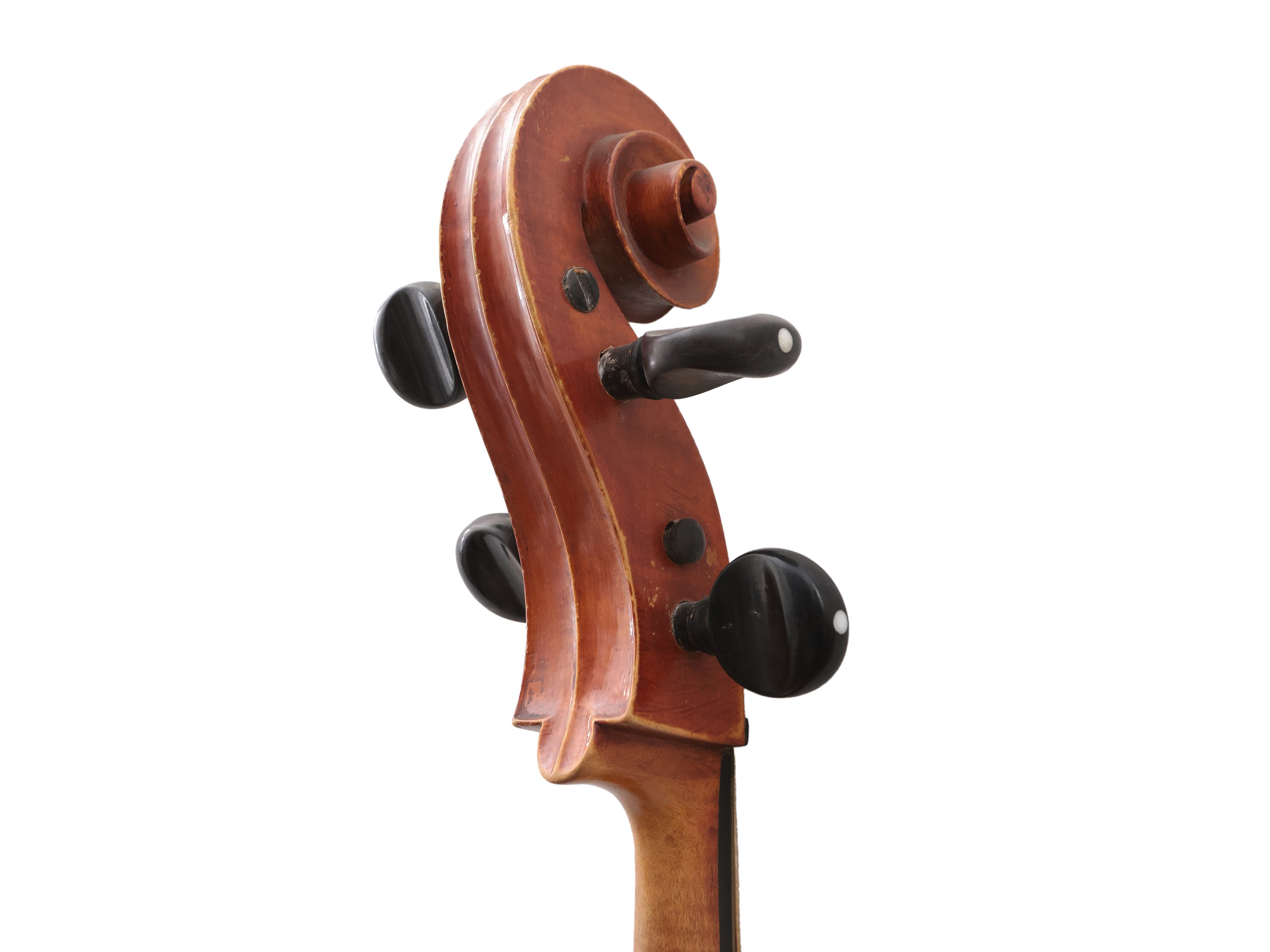 Violoncello