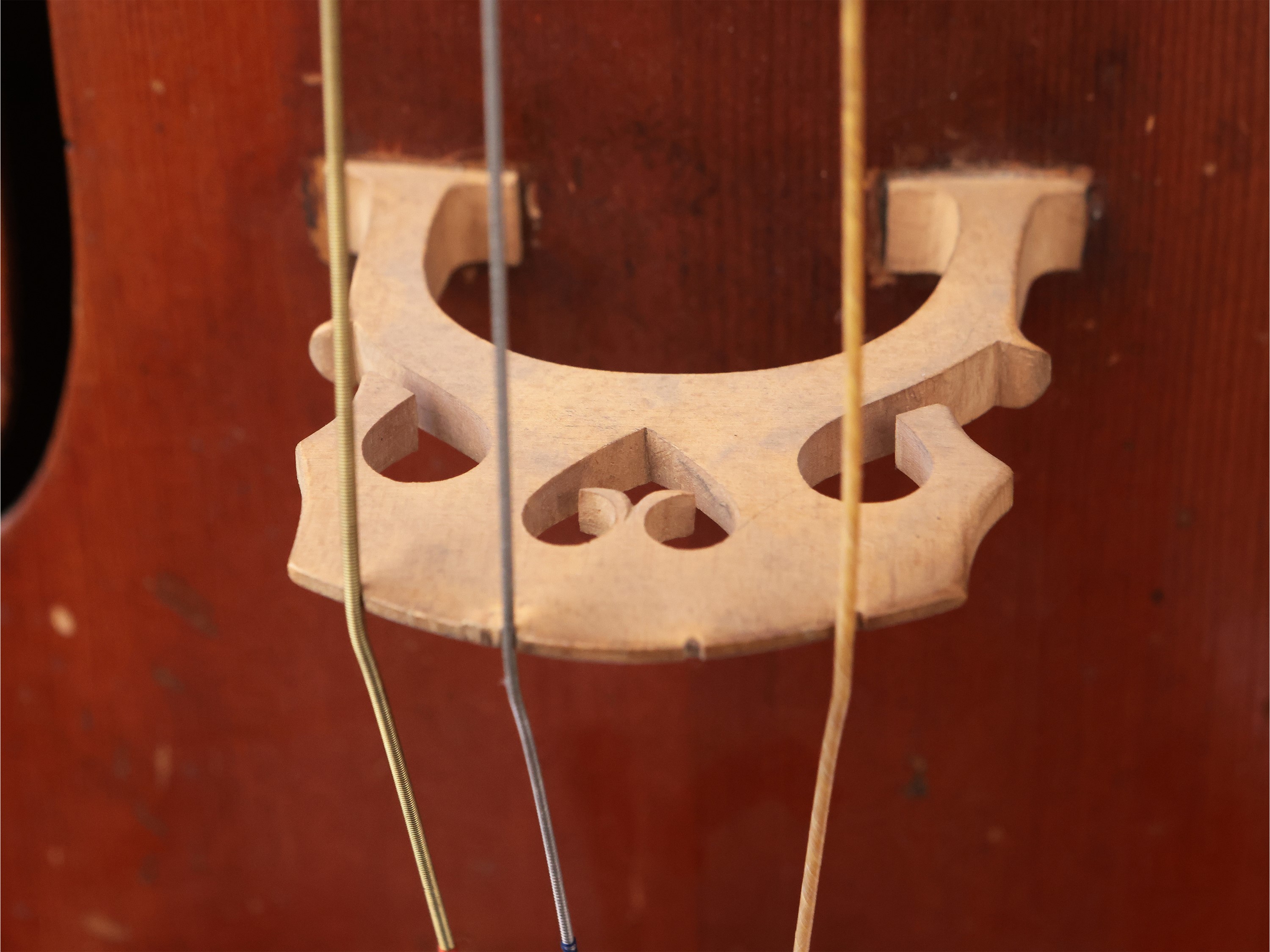 Violoncello