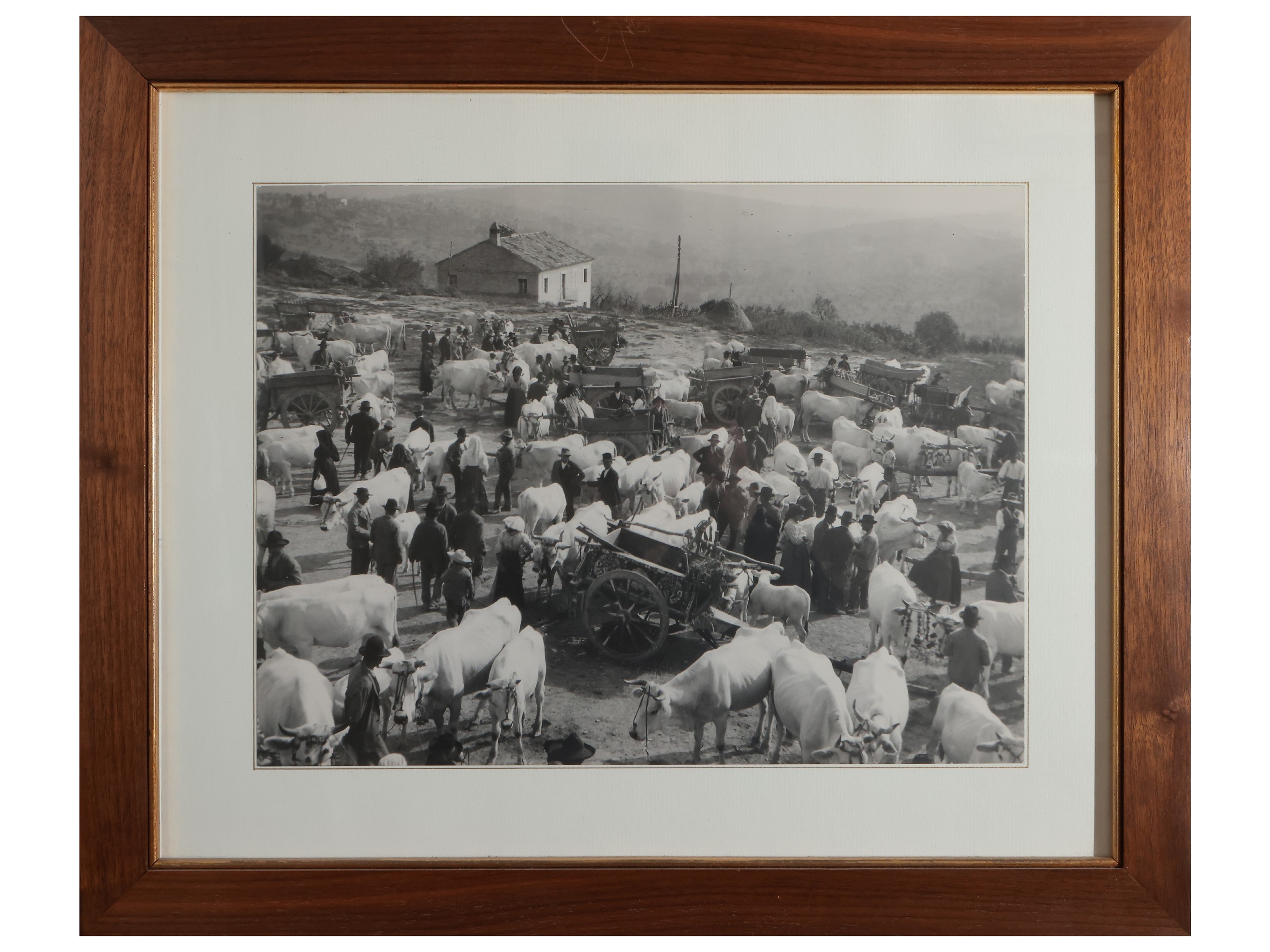 Serie di Sei Foto Vintage