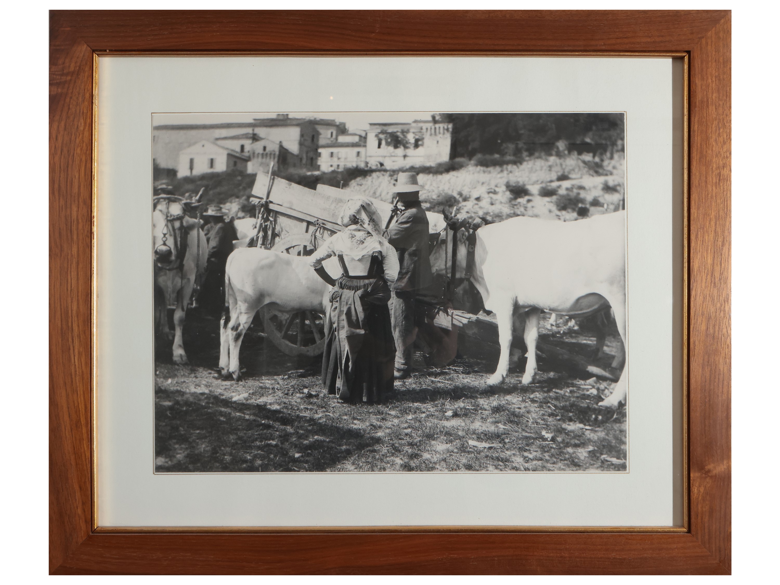 Serie di Sei Foto Vintage