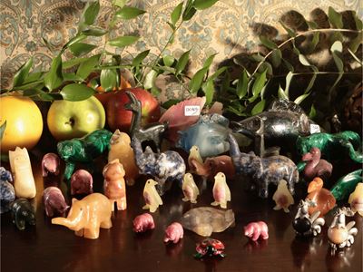 Grande Collezione di Animali