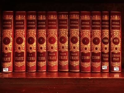 Undici Volumi da Storia Naturale