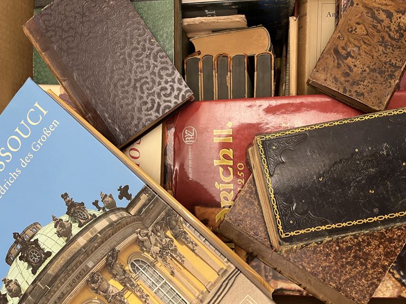 Grande Assortimento di Libri