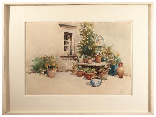 Vincenzo Irolli - Plants in the courtyard
