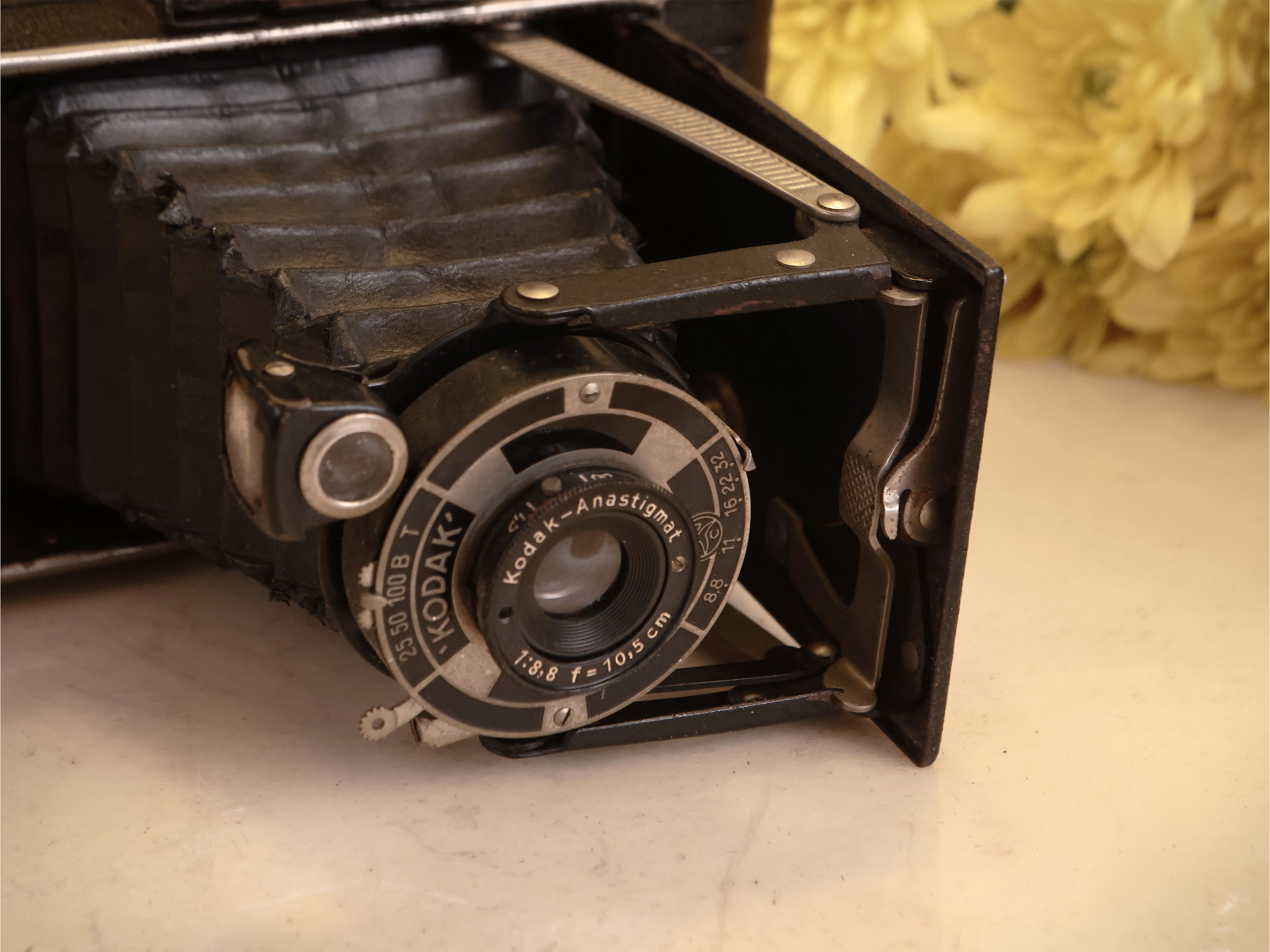 Due Macchine Fotografiche D'epoca a Soffietto