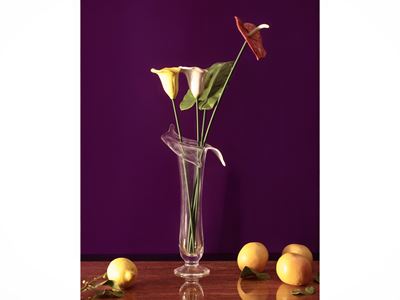 Vaso in Vetro Incolore