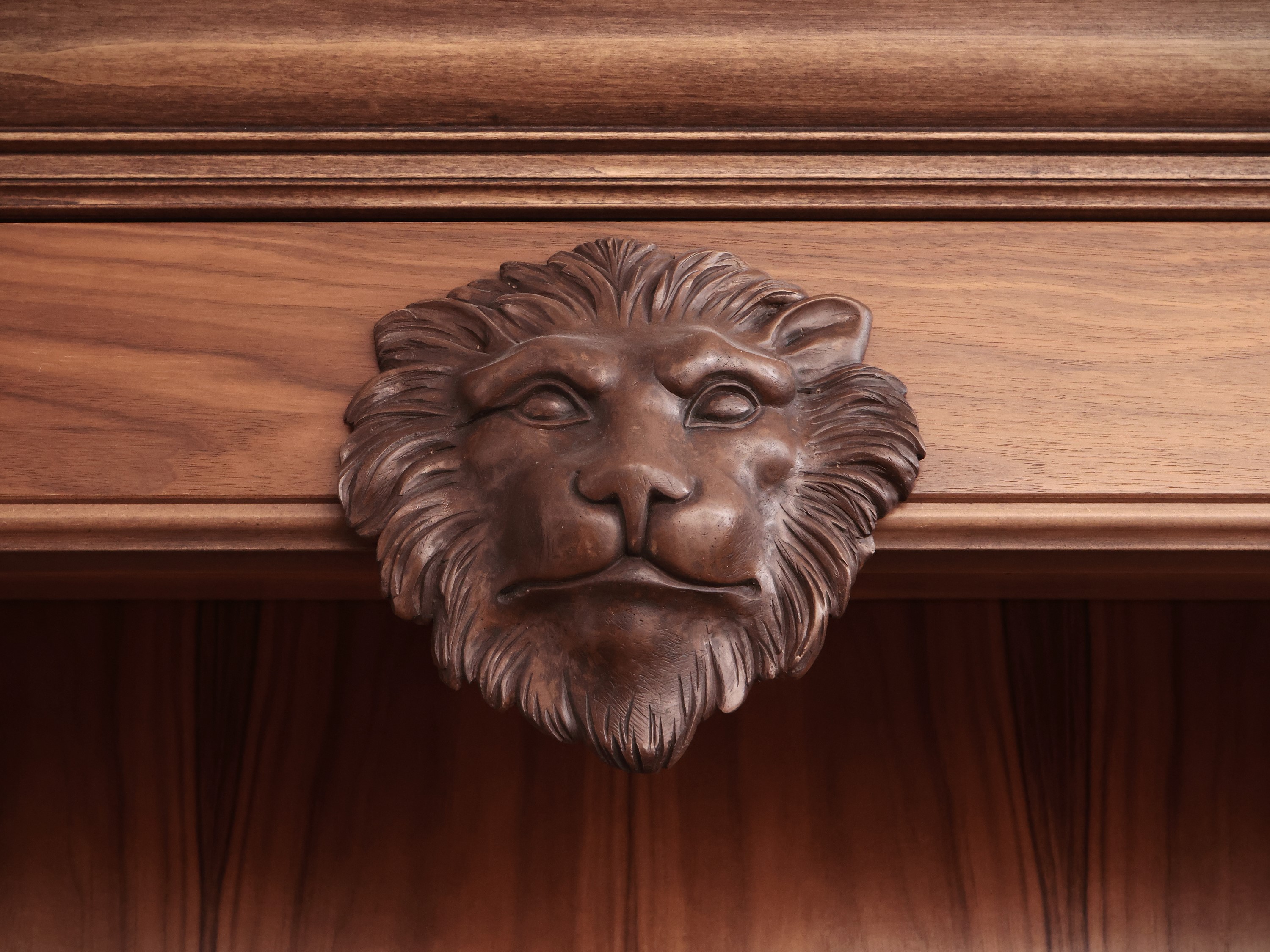 Grande Libreria a Giorno in Satinwood
