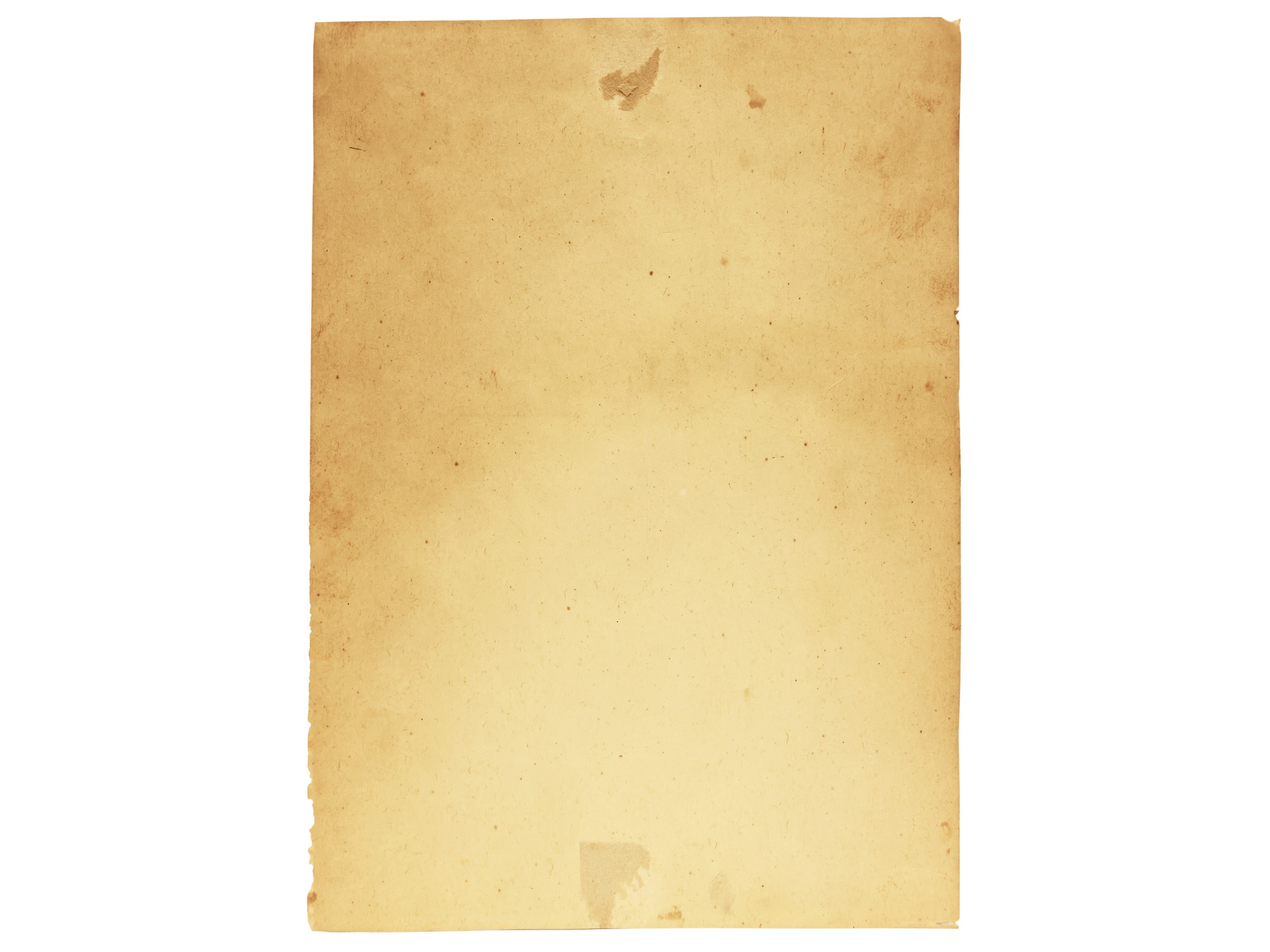 Ritratto di donna con cappello