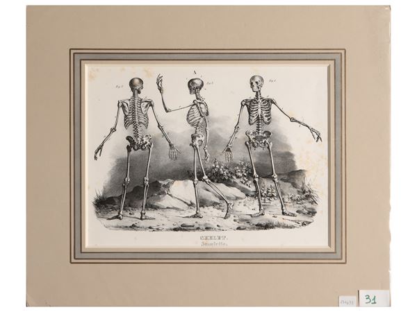 Skeletons  (19th century)  - Auction Decorative Prints - Maison Bibelot - Casa d'Aste Firenze - Milano