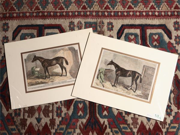 Cavalli  (Inghilterra, XIX secolo)  - Asta Stampe decorative - Maison Bibelot - Casa d'Aste Firenze - Milano
