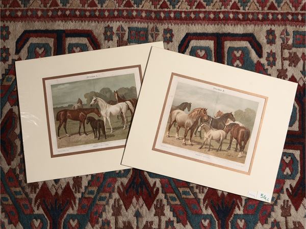 Cavalli  (XIX secolo)  - Asta Stampe decorative - Maison Bibelot - Casa d'Aste Firenze - Milano