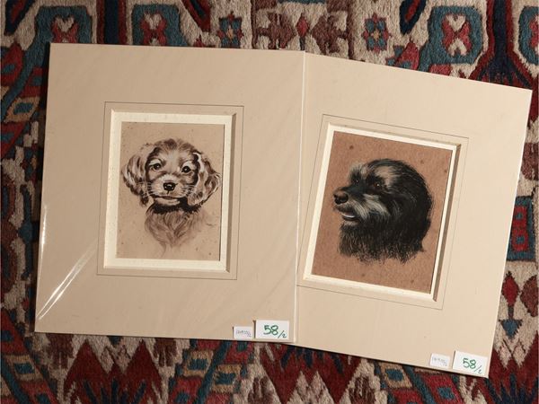 Cani  (XIX secolo)  - Asta Stampe decorative - Maison Bibelot - Casa d'Aste Firenze - Milano