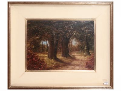 Paesaggio nel Mincio - Veduta di Bosco