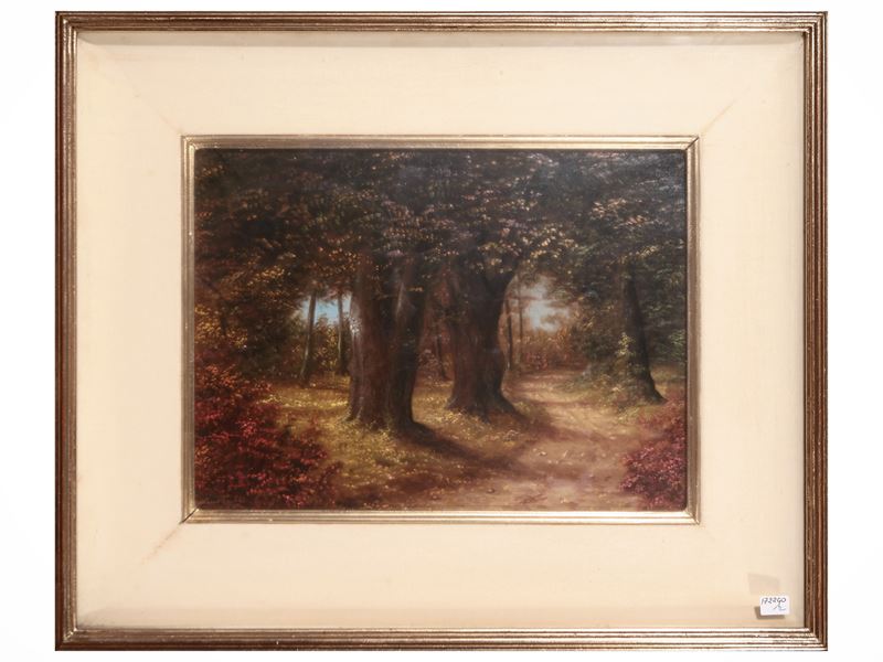 Paesaggio nel Mincio - Veduta di Bosco