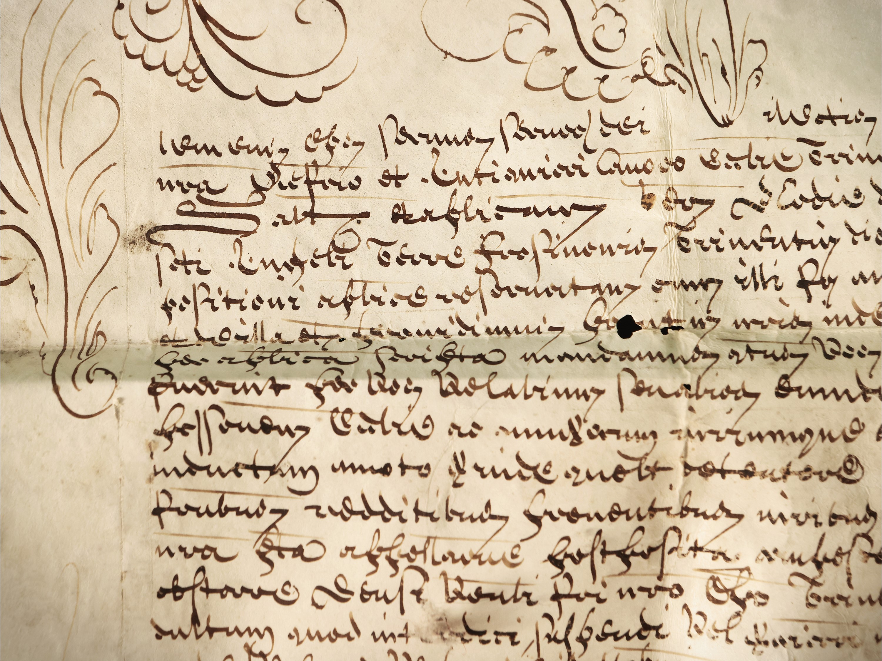 Bolla pontificia in pergamena