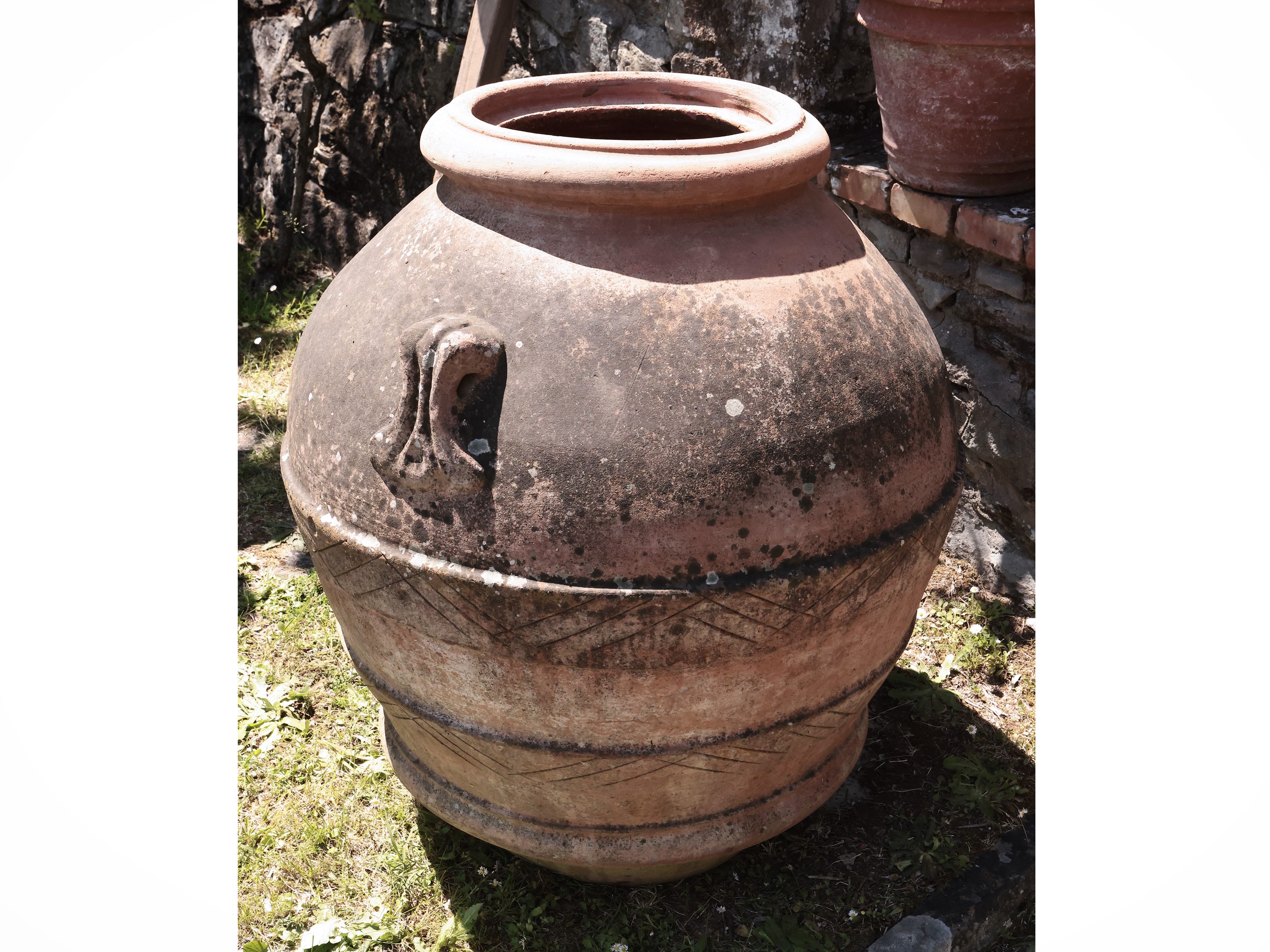 Grande Orcio D'epoca in Terracotta di Galestro