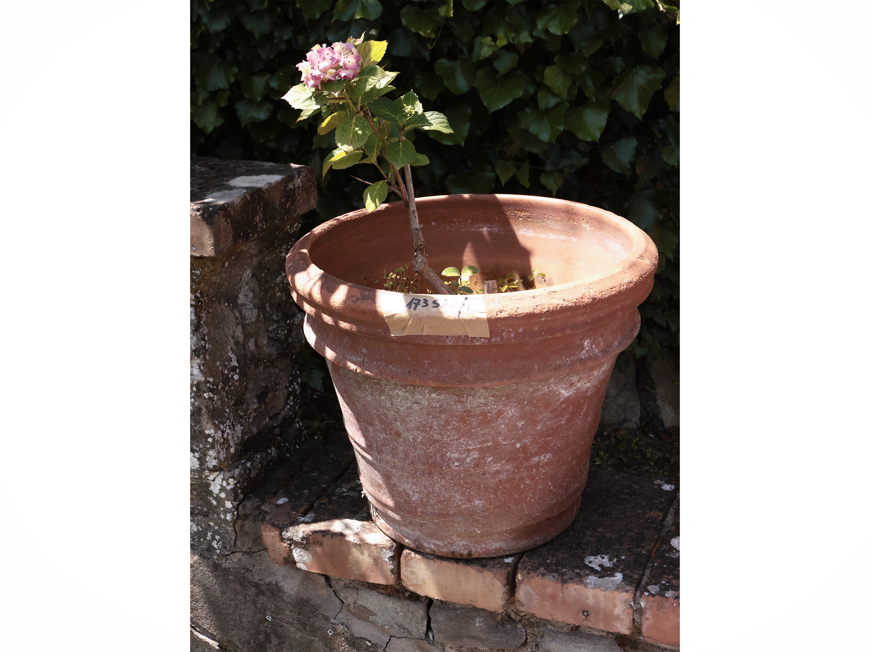 Tre Vasi in Terracotta