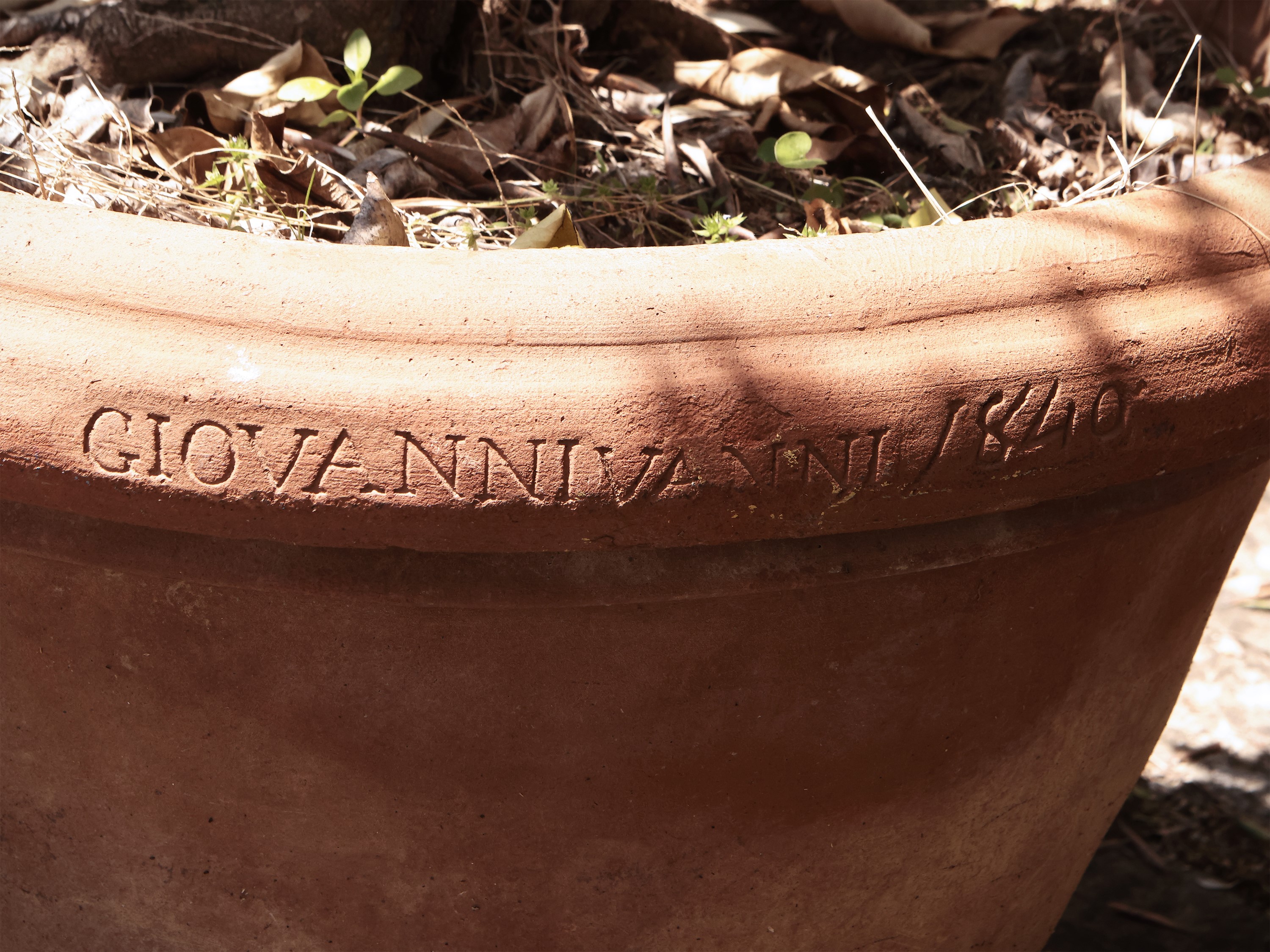 Grande Vaso D'epoca in Terracotta di Galestro
